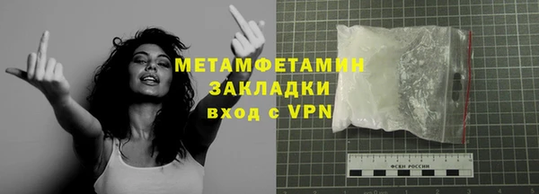 прущие грибы Губаха