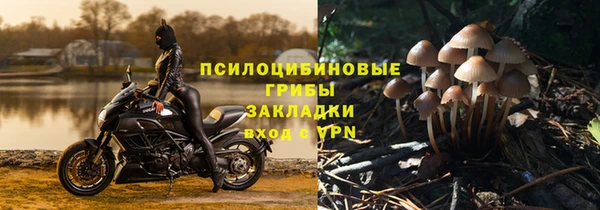 спайс Алексеевка