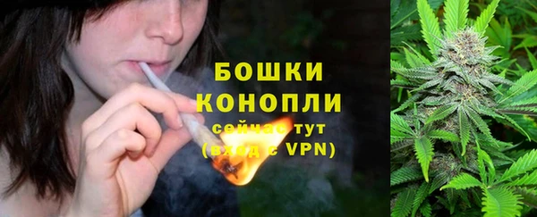скорость Снежногорск