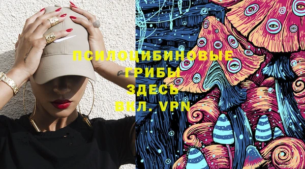 крисы Грязовец