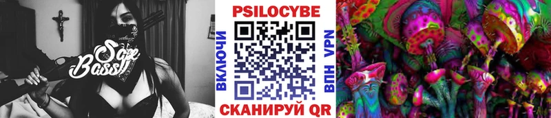 kraken маркетплейс  Сызрань  Псилоцибиновые грибы Psilocybe 