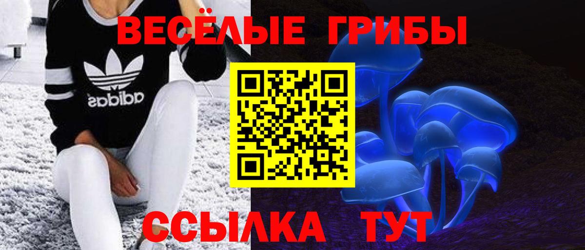 Сызрань  Галлюциногенные грибы MAGIC MUSHROOMS  Псилоцибиновые грибы прущие грибы  Вход с VPN 